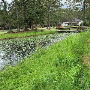 Meet your Posher, Sierra